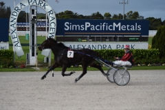 D4S_7786