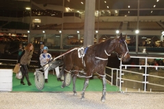 GRP_9431 Race 1 - Jack's Legend