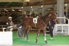 GRP_9973