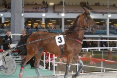 GRP_3041