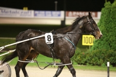 17AU3586