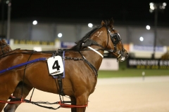 16AU2666