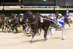D4S_5909