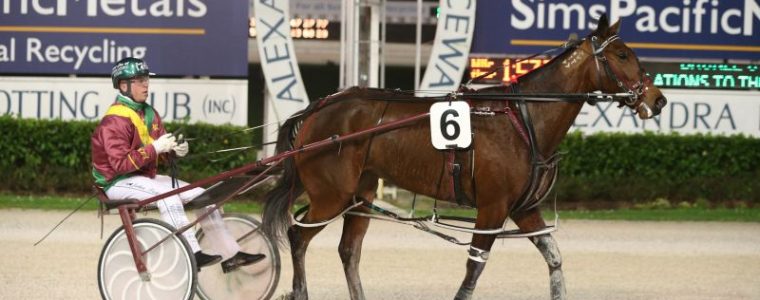 Auckland Trotting Club – 29 July 2016