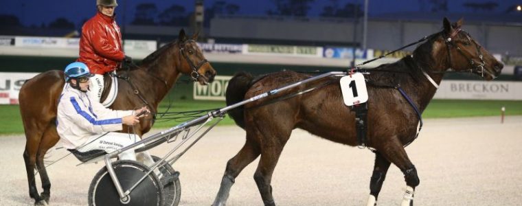Auckland Trotting Club – 26 August 2016