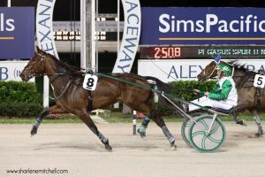 Reilmein wins the feature trot at Alexandra Park Friday night effortlessly.