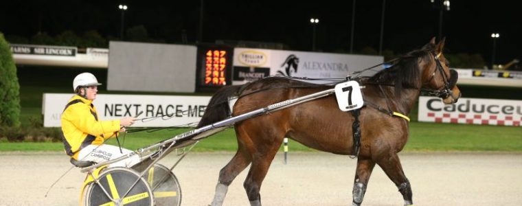 Auckland Trotting Club – 15 July 2016