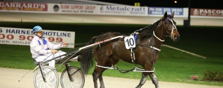 Auckland Trotting Club – 16 September 2016