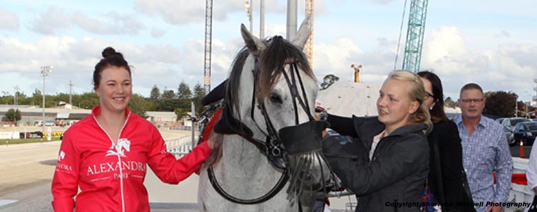 Auckland Trotting Club – 18 November 2016