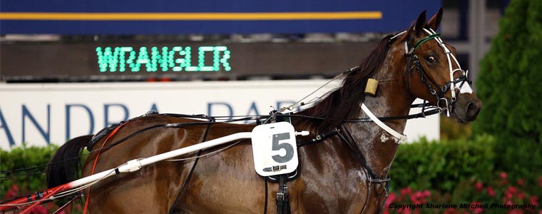 Auckland Trotting Club – 25 November 2016