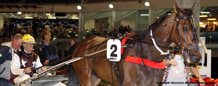 Auckland Trotting Club – 2 December 2016