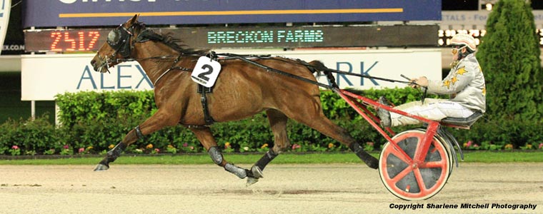 Auckland Trotting Club – 30 September 2016