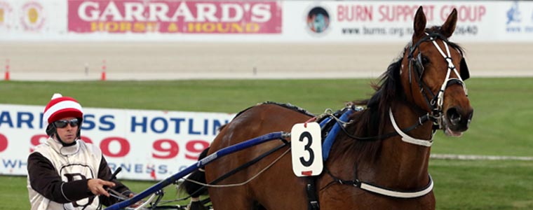 Auckland Trotting Club – 11 November 2016