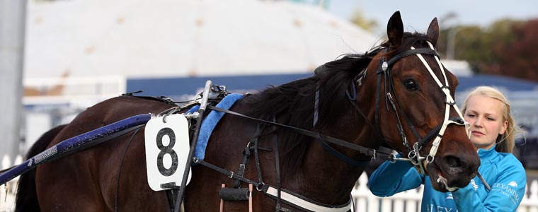 Auckland Trotting Club – 4 November 2016