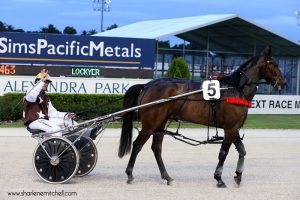 David Butcher brings Lockyer back to scale after a great win in the Auckland Co-op Taxis Mobile Pace.