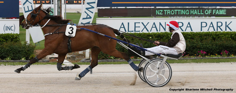 Three Horsemen Shine At Alexandra Park