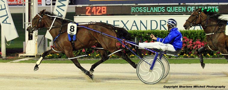 Auckland Trotting Club – 16 December 2016