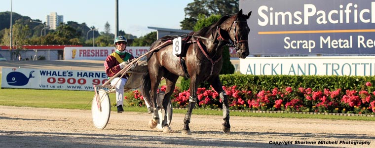 Auckland Trotting Club – 9 December 2016