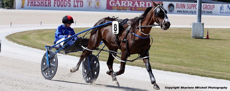 Auckland Trotting Club – 31 December 2016