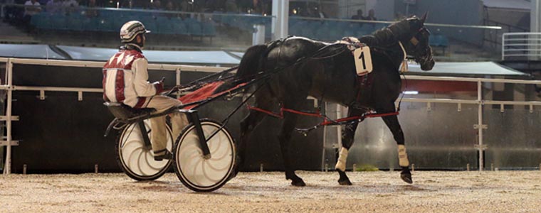Auckland Trotting Club – 10 March 2017