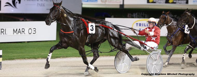 Auckland Trotting Club – 24 February 2017