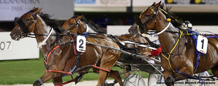 Auckland Trotting Club – 24 March 2017