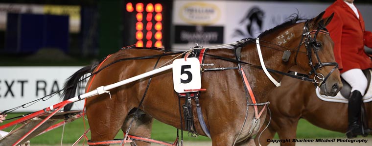 Auckland Trotting Club – 7 April 2017