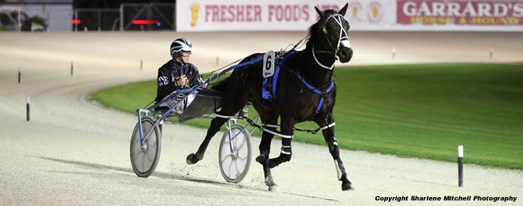 Auckland Trotting Club – 21 April 2017