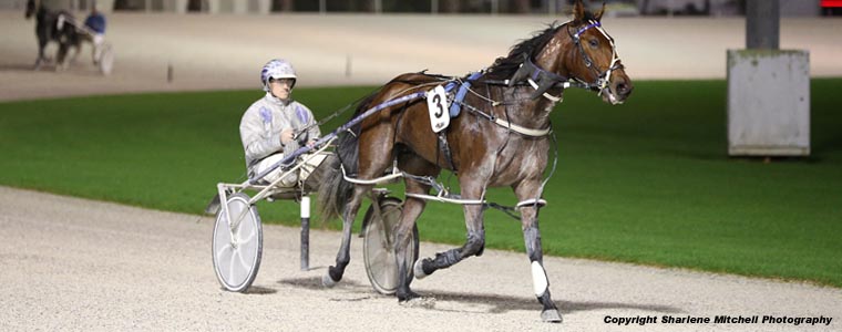 Auckland Trotting Club – 12 May 2017