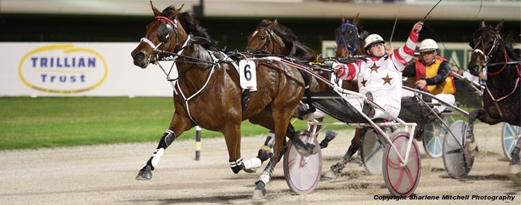 Auckland Trotting Club – 27 May 2017