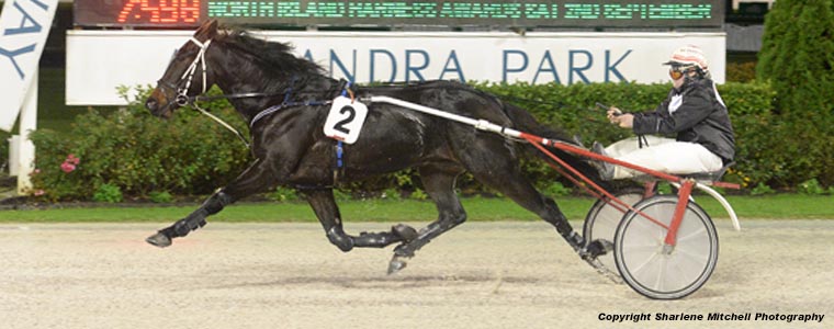 Auckland Trotting Club – 2 June 2017