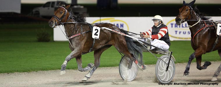 Auckland Trotting Club – 5 May 2017