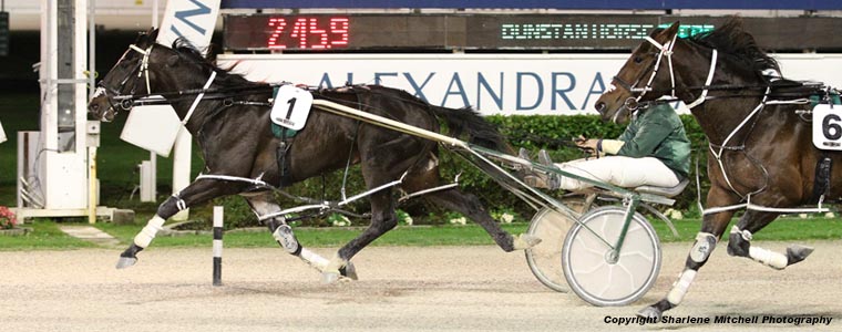 Auckland Trotting Club – 14 July 2017