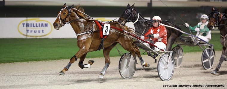 Auckland Trotting Club – 23 June 2017