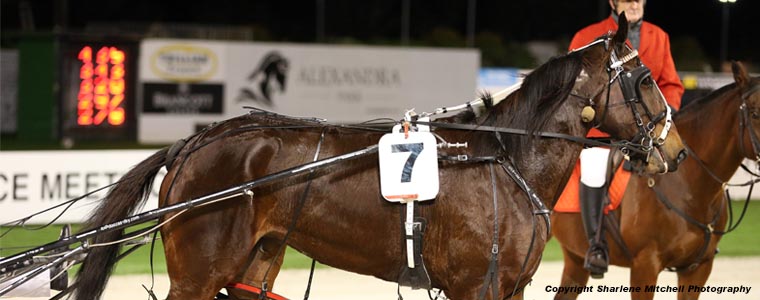 Auckland Trotting Club – 30 June 2017