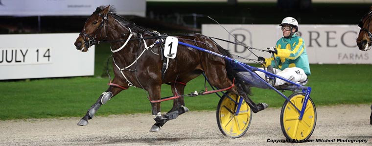 Auckland Trotting Club – 7 July 2017