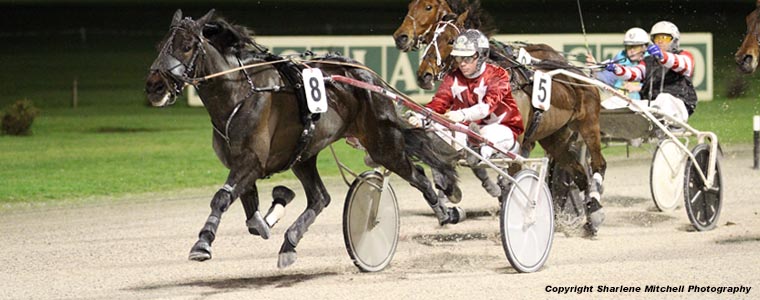 Auckland Trotting Club – 11 August 2017