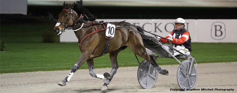 Auckland Trotting Club – 25 August 2017