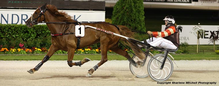 Auckland Trotting Club – 24 November 2017