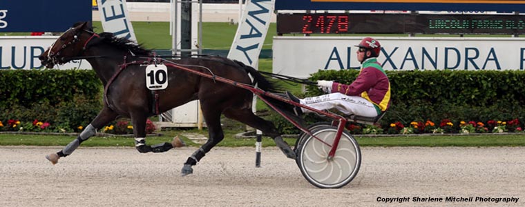 Auckland Trotting Club – 27 October 2017