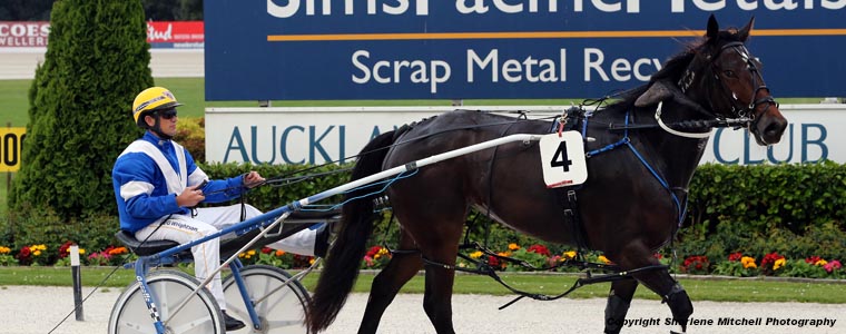 Auckland Trotting Club – 3 November 2017