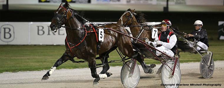 Auckland Trotting Club – 16 December 2017