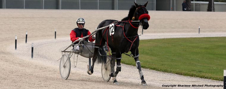 Auckland Trotting Club – 30 November 2017