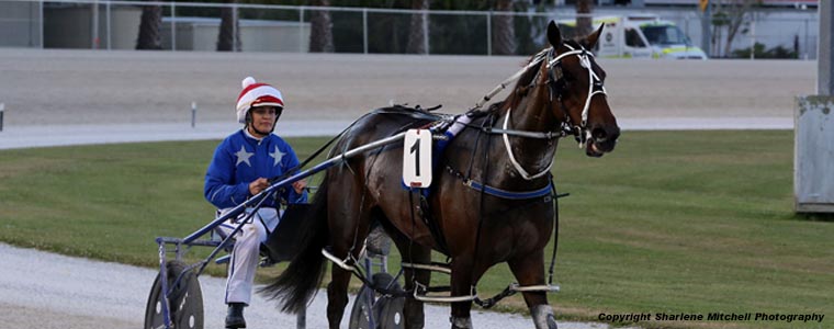 Auckland Trotting Club – 8 December 2017