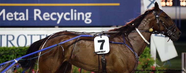 Auckland Trotting Club – 22 December 2017