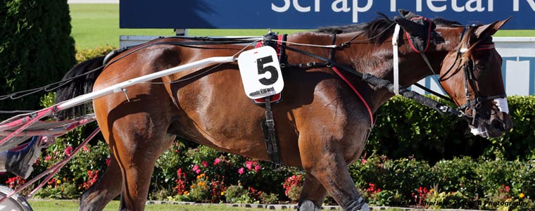 Auckland Trotting Club – 16 February 2018