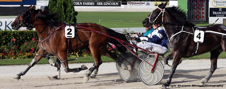 Auckland Trotting Club – 19 January 2018