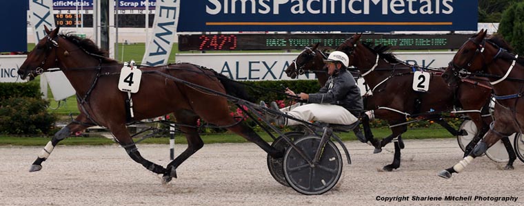 Auckland Trotting Club – 9 February 2018