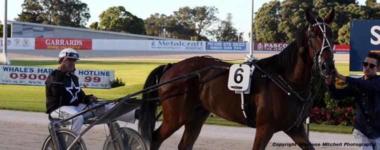 Auckland Trotting Club – 23 February 2018