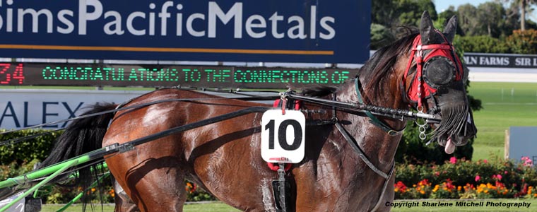 Auckland Trotting Club – 9 March 2018